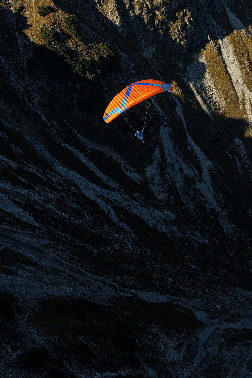 Ozone Moxie (EN A Beginner)