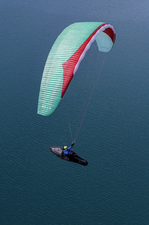 Gin Boomerang 12 (CCC)
