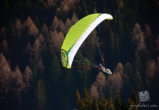Gin Bobcat (Speedwing, Foot-Launch)